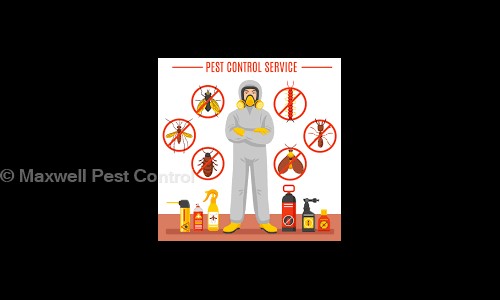 Maxwell Pest Control - Pest Control in Govindpura, Jaipur