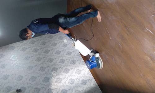 M.Y.O.P Cleaning Service - Pest Control in Sector 51, Gurgaon