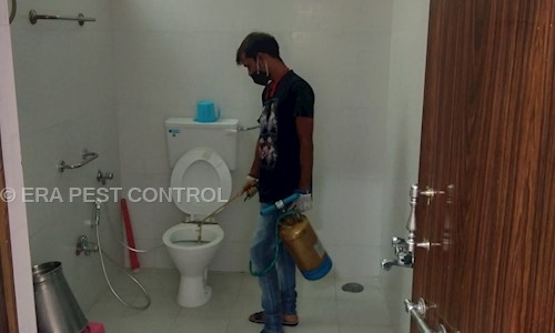 ERA PEST CONTROL - Pest Control in Kalewadi, Pimpri Chinchwad