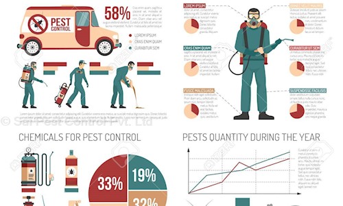 Sai Pest Control Pvt. Ltd. - Pest Control in Sector 56, Gurgaon
