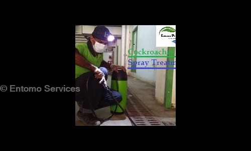 Entomo Services - Pest Control in Sector 2, Noida