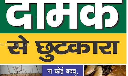 Pest control - Pest Control in Manimajra, Chandigarh