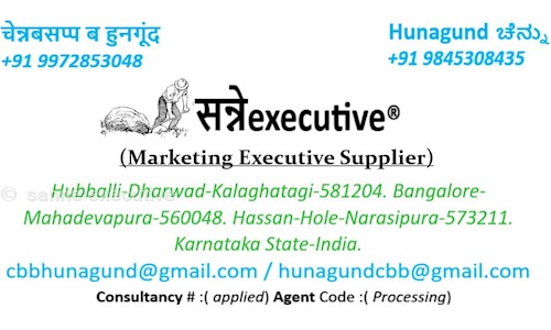 sanne executive - Placement Consultancies in Ganesh Peth, Hubli