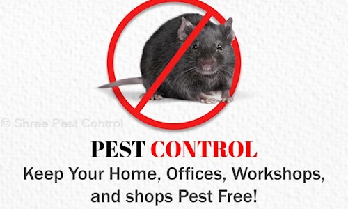Shree Pest Control - Pest Control in Panvel, Mumbai