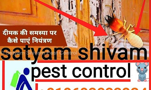 Satyam Shivam Pest Control - Pest Control in Main Road, Patna