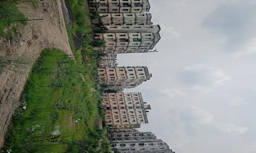 Hamid Associates - Pest Control in Vasant Vihar, Delhi