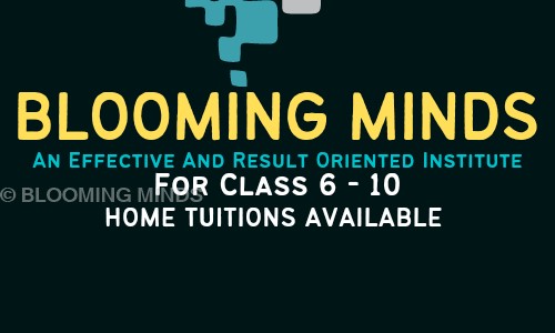 BLOOMING MINDS - School Tuitions in Baghmara, Dhanbad