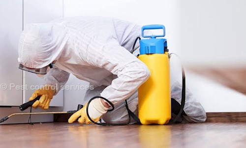 Pest control services - Pest Control in Sanjeeva Reddy Nagar, Hyderabad