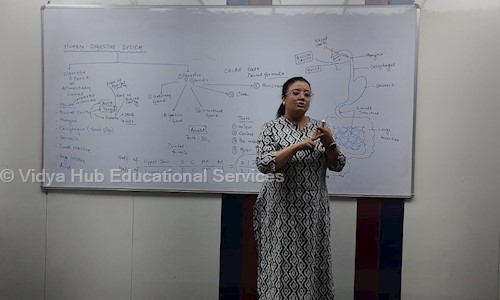 Vidya Hub - School Tuitions in Rohini, Delhi