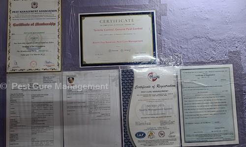  Pest Cure Management - Pest Control in Tollygunge, Kolkata