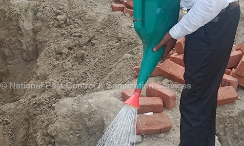 National Pest Control & Sanitization Services - Pest Control in Nirala Nagar, Lucknow