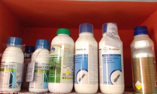 Herbalife Pest Control Services - Pest Control in Churchgate, Mumbai