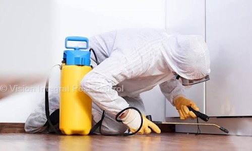 Vision Integral Pest Control - Pest Control in Balusumoodi, Bhimavaram