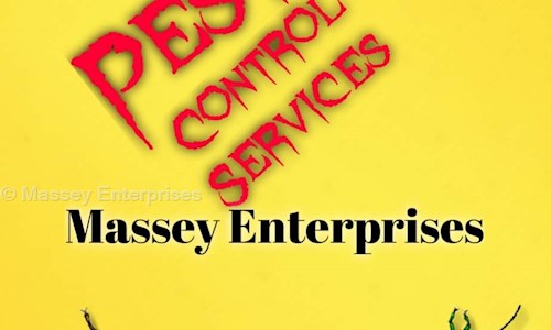 Massey Enterprises - Pest Control in Bareilly Cantonment, Bareilly