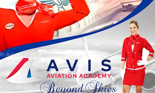 Avis Aviation Academy - Job Training in Old DLF Colony, Gurgaon