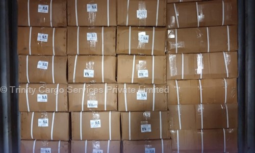 Trinity Cargo Services Pvt. Ltd. - Packers and Movers in Santacruz East, Mumbai