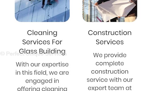Perfect Unique Services - Pest Control in Nagpur City, Nagpur