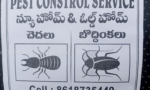 Oral Pest Control Service - Pest Control in Lingampally, Hyderabad