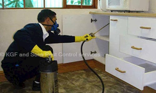 KGF and Sons Pest Control services - Pest Control in Shivaji Nagar, Bangalore