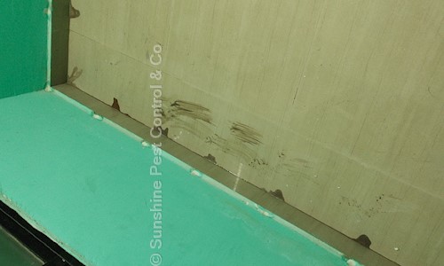 Sunshine Pest Control & Co. - Pest Control in Balianta, Bhubaneswar