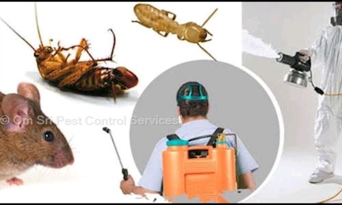 Om Sri Pest Control Services - Pest Control in Karkhana, Hyderabad