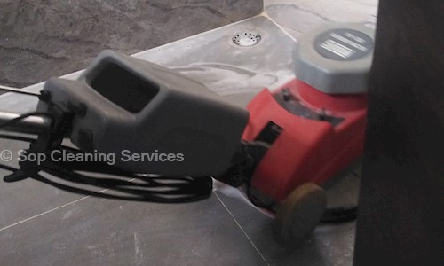 SOP Cleaning Services - Pest Control in Patamata, Vijayawada