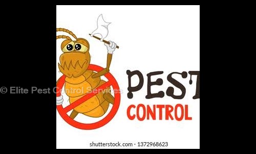 Elite Pest Control Services - Pest Control in Keshav Nagar, Pune