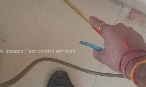 Inpatna Pest control services - Pest Control in Mithapur, Patna