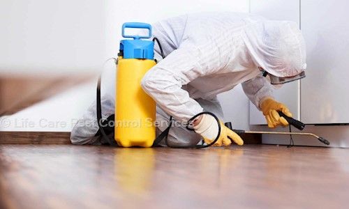 Life Care Pest Control Services - Pest Control in Lohegaon, Pune