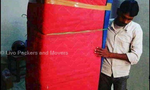 Livo Packers and Movers - Packers and Movers in Santola, Guwahati