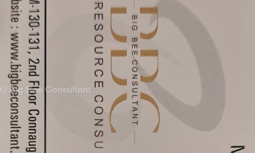 Big Bee Consultant - Placement Consultancies in Connaught Place, Delhi