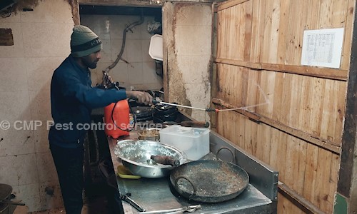 CMP Pest control service - Pest Control in Kengeri, Bangalore
