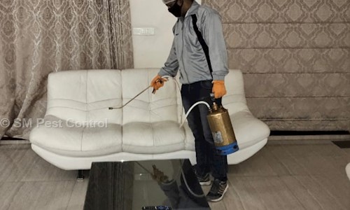 SM Pest Control - Pest Control in Yousufguda, Hyderabad