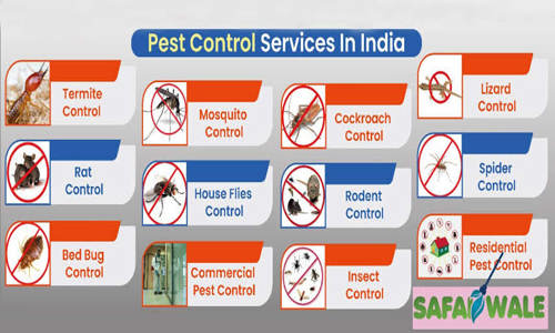 Jaipur Pest Control - Pest Control in Jaipur, Jaipur