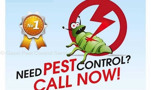 Gauri Pest Control Service - Pest Control in Sion East, Mumbai