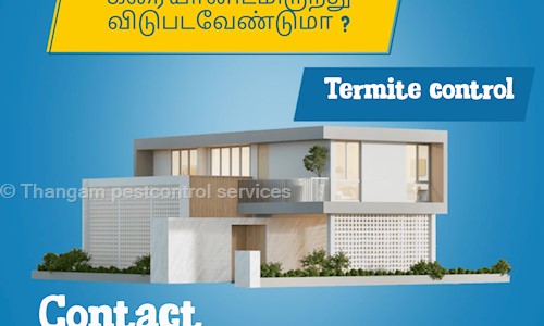 Thangam pestcontrol services - Pest Control in Palakarai, Trichy