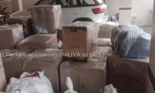 Daliyasri Packers And Movers - Packers and Movers in Pragati Nagar, Nellore