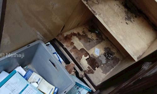 Nethaji - Pest Control in Urapakkam, Kanchipuram