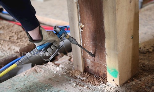 Angel Pest Control - Pest Control in Jogeshwari West, Mumbai