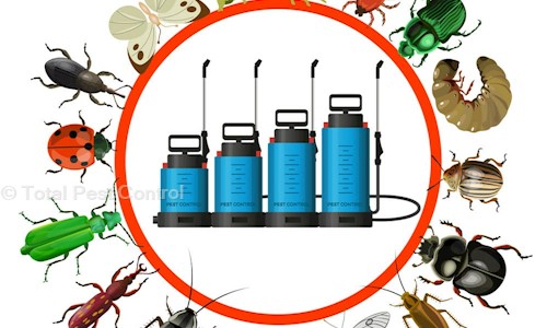 Total Pest Control - Pest Control in Mathikere, Bangalore