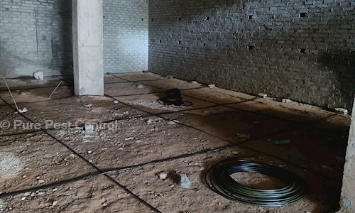 Pure Pest Control - Pest Control in Maharaj Nagar, Ludhiana