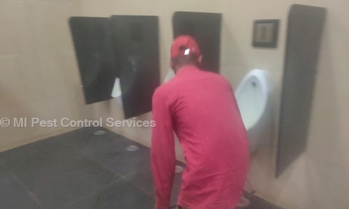 MI Pest Control Services - Pest Control in Gunjur Palya, Bangalore
