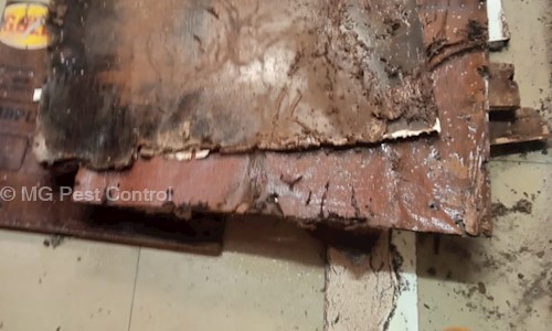 MG Pest Control - Pest Control in Ambattur, Chennai