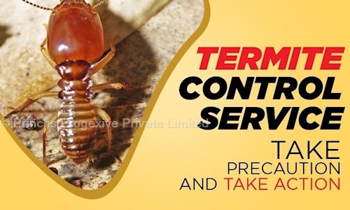 Princhs Progexive Private Limited - Pest Control in Shakurpur, Delhi