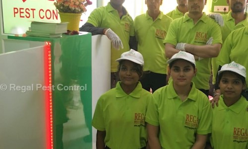 Regal Pest Control - Pest Control in Pitampura, Delhi