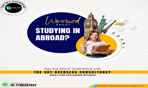 The Sky Overseas Consultancy - Entrance Exam Coaching in Machavaram, Vijayawada