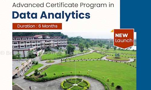 Brillica Services Private Limited - Job Training in Rajouri Garden, Delhi