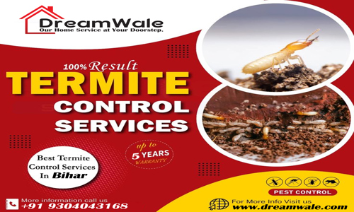 DreamWale Services LLP - Termite & Pest Control Services - Pest Control in Mungerganj, Begusarai