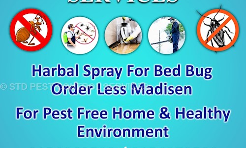 STD PEST CONTROL SERVICES  - Pest Control in Pune, Pune