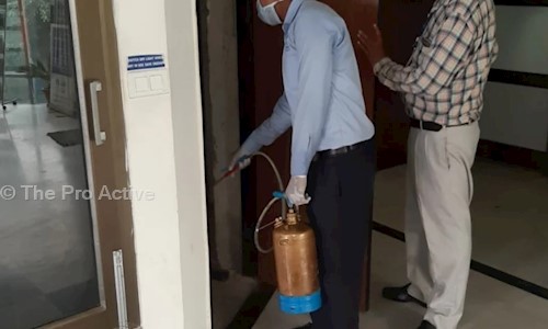 The Pro Active - Pest Control in Sector 1, Chandigarh